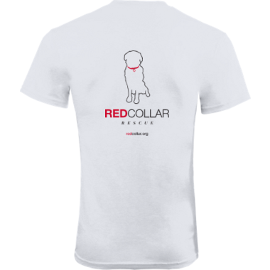 COTTON SHORT SLEEVE TEE W/LOGO ON FRONT & BACK (MEN/WOMEN/YOUTH) IN WHITE